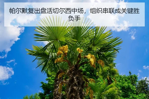 pa-er-mo-fu-chu-pan-huo-qie-er-xi-zhong-chang-zu-zhi-chuan-lian-cheng-guan-jian-sheng-fu-shou-3-628.jpg