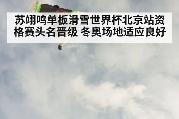 苏翊鸣单板滑雪世界杯北京站资格赛头名晋级 冬奥场地适应良好