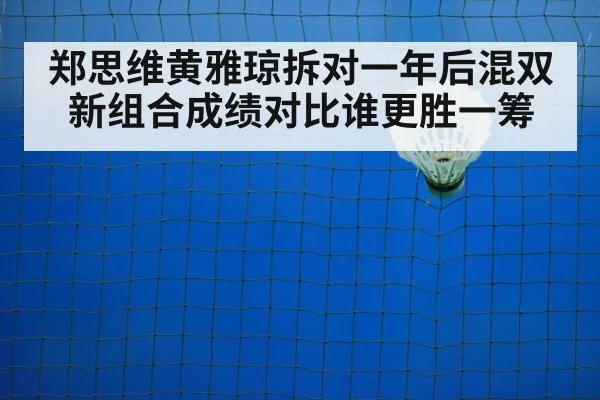 badminton net play